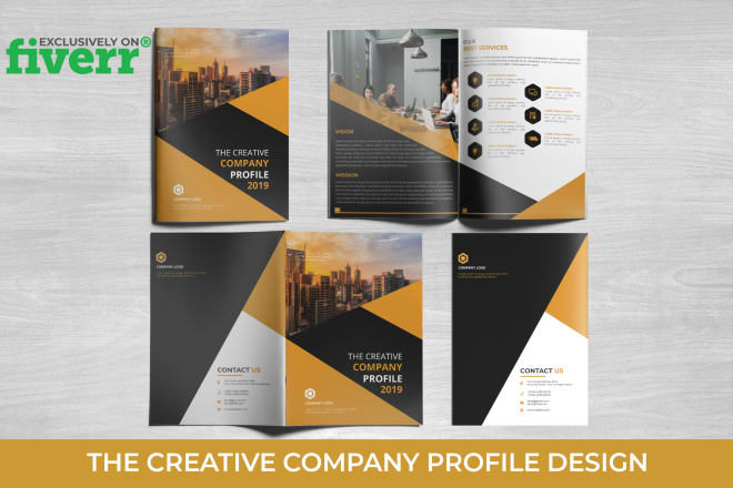 I will design professional company profile or business brochure