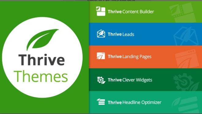 I will design thrive themes website within 1 day