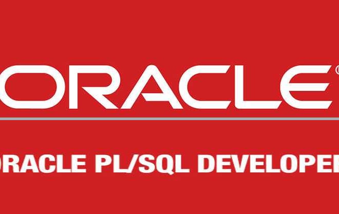 I will develop stored procedures, functions and plsql programs