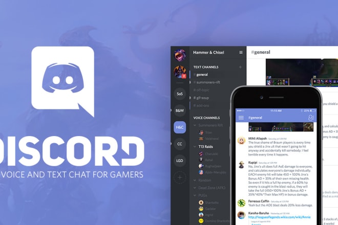 I will discord server development and management