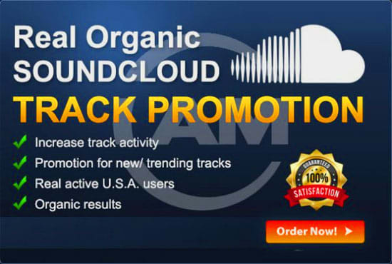 I will do best viral music promotion on soundcloud song