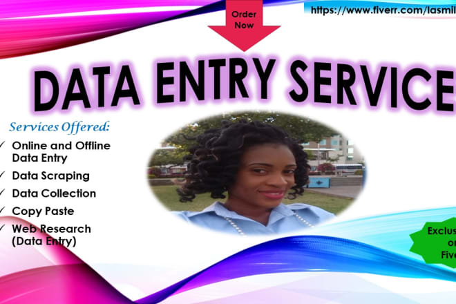 I will do both offline and online data entry jobs