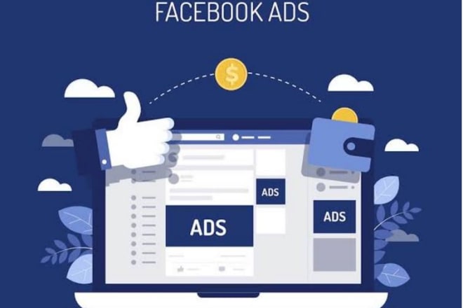 I will do business marketing using facebook ads campaign promotion