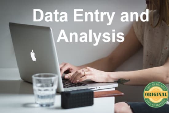 I will do data entry services