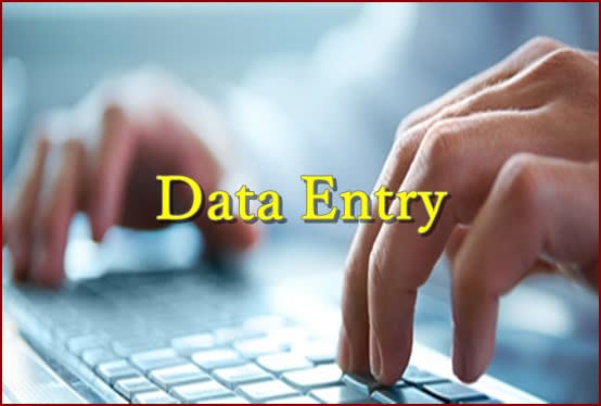 I will do data entry work from home