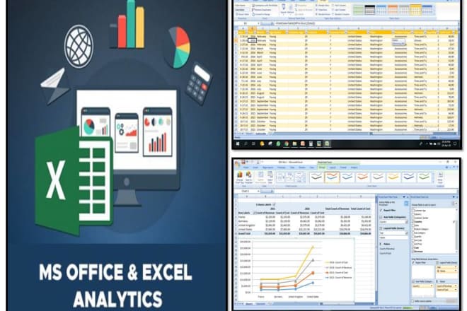 I will do excel data analysis statistical visualization reports