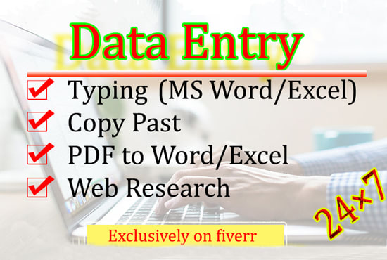 I will do excel data entry, copy paste and web research accurately