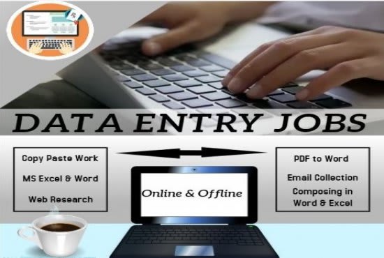 I will do online and offline data entry, copy paste and typing jobs
