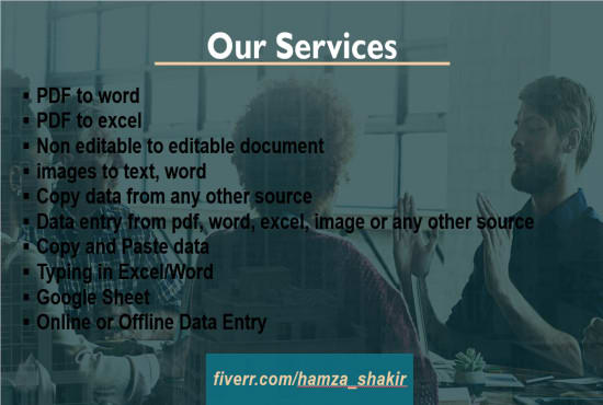 I will do online and offline data entry, pdf to text, copy typing