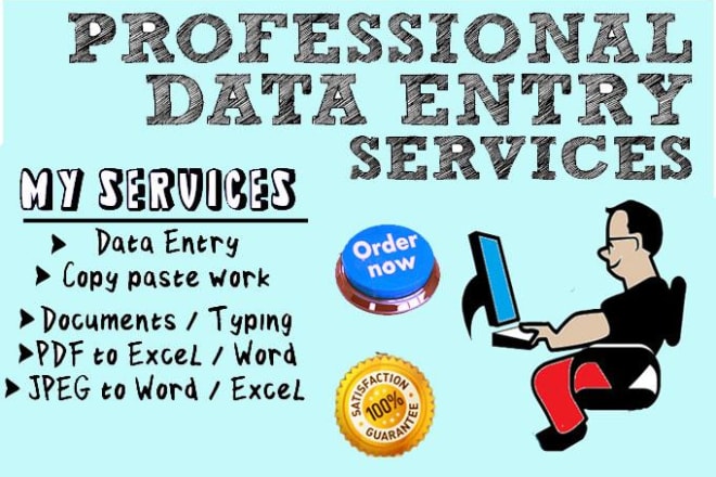 I will do online and offline data entry, typing and copy paste jobs