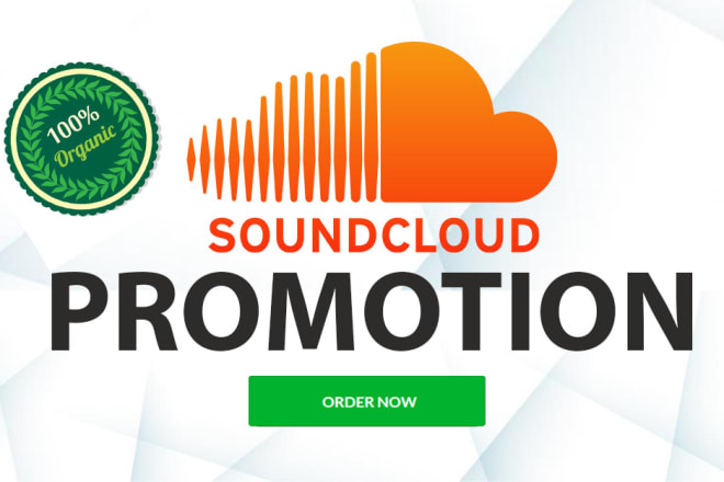 I will do organic soundcloud music promotion and run campaigns