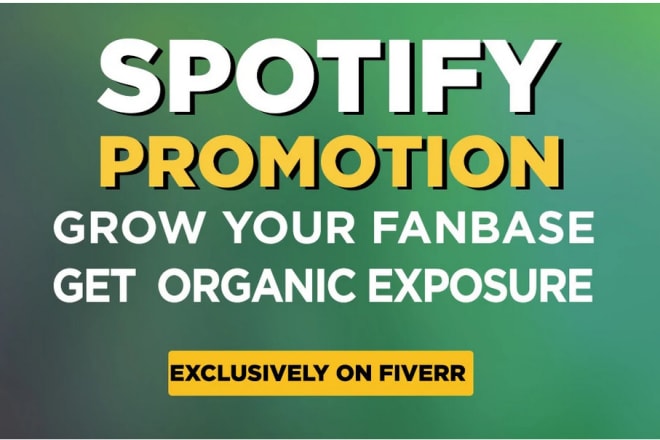 I will do organic spotify promotion for your spotify music track