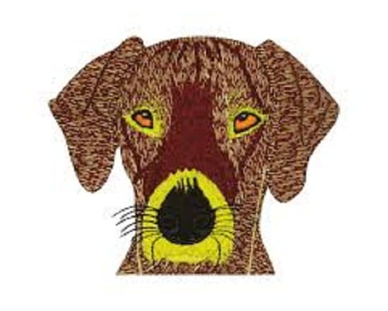 I will do perfect embroidery digitizing