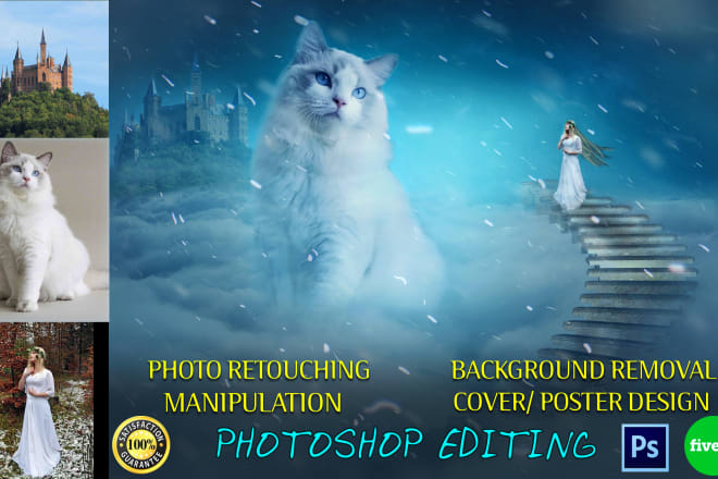 I will do photoshop manipulation in 24 hours