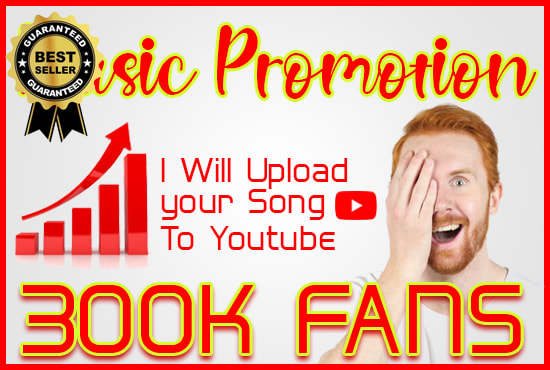 I will do professional music promotion to 315k fans on youtube channel