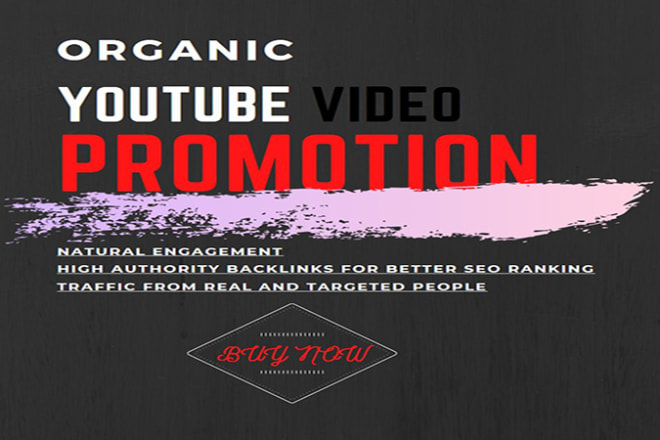 I will do viral youtube video promotion with SEO