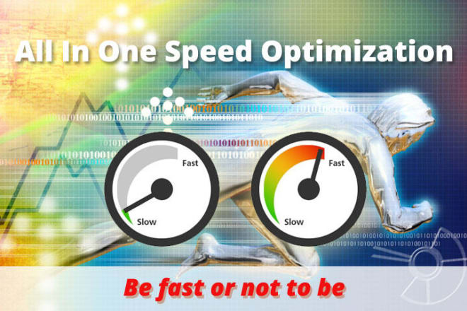 I will do wordpress speed optimization service