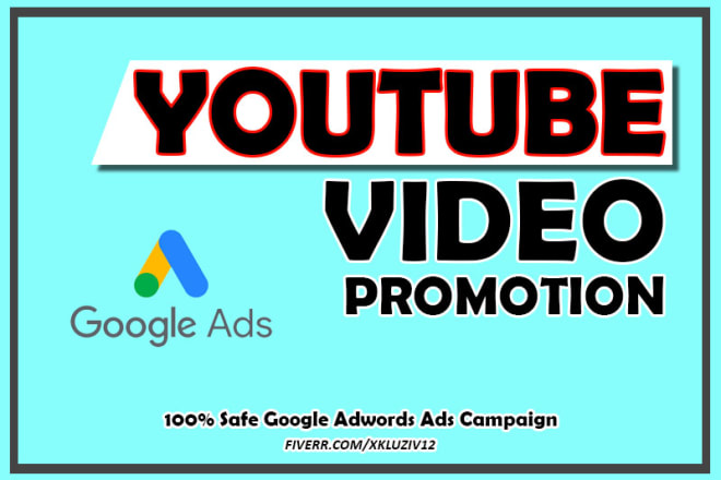 I will do youtube promotion for your video with social ads campaign