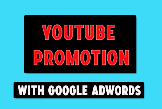 I will do youtube video promotion with google adwords