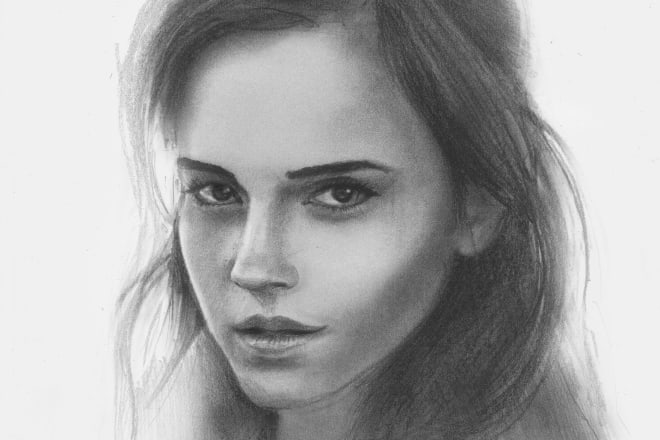 I will draw a realistic pencil sketch portrait from a photo