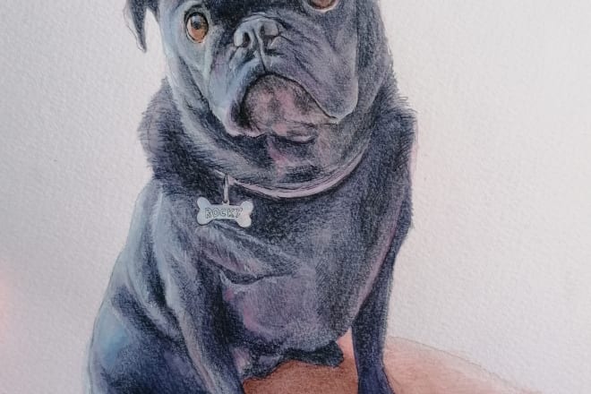 I will draw a realistic portrait of your pet