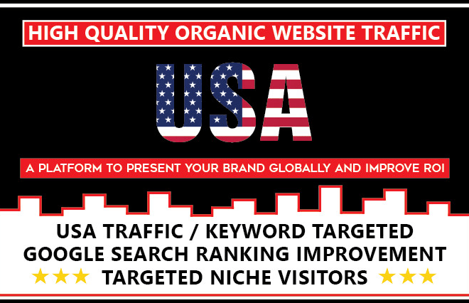 I will drive targeted USA organic traffic from google by keywords