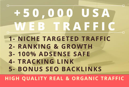 I will drive targeted USA website traffic from social media