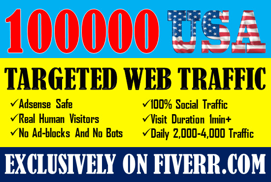 I will drive USA targeted web traffic
