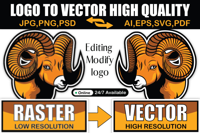 I will edit, modify, redraw logo, image to vector, ai, eps, svg, psd, pdf etc