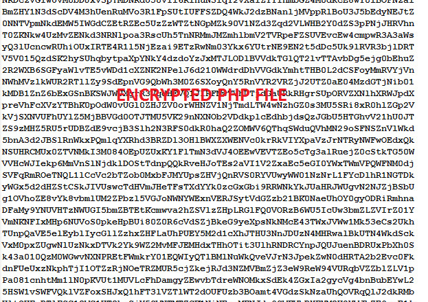 I will encrypt or protect your entire php project