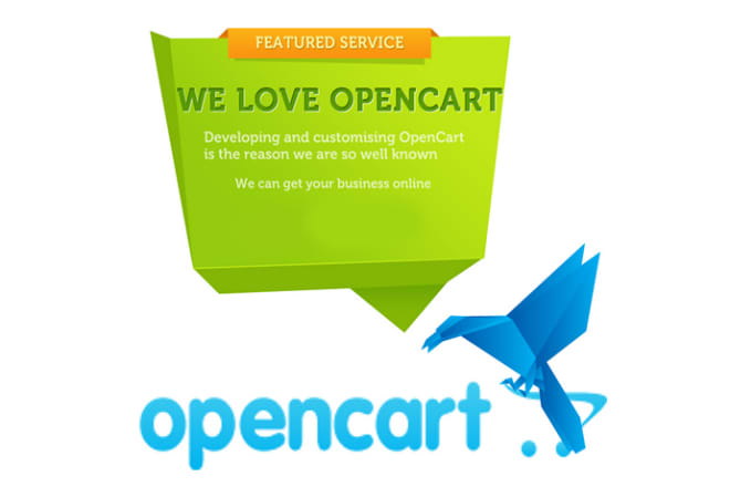 I will fix any error in your opencart code or theme