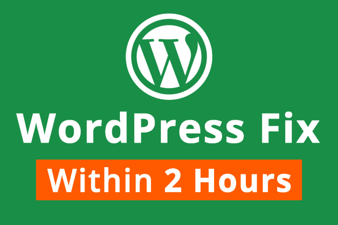 I will fix your wordpress website issue