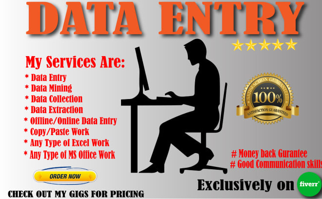 I will flawless data entry jobs