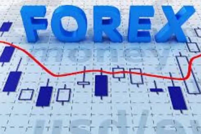 I will get active forex telegram users to your channel or group