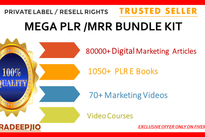 I will give 80k digital marketing plr articles 1050 ebooks 70 videos