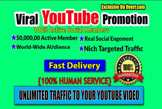 I will give promote,video,intro,audience,viral,youtube, real comment service