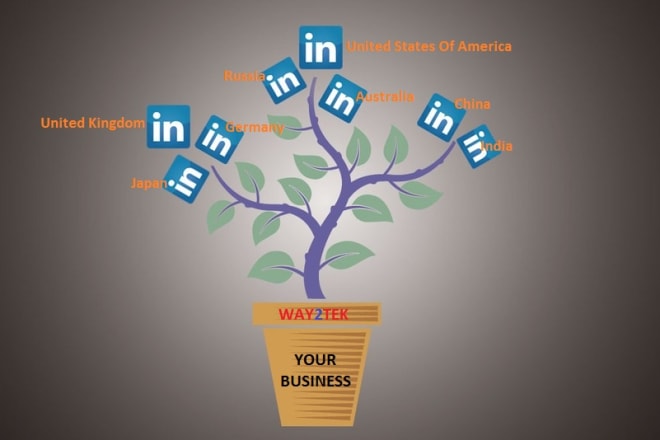 I will grow your linkedin professional network with intro content