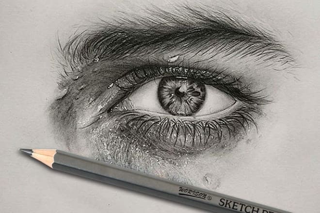 I will hand draw your picture, profolio picture hand drawing