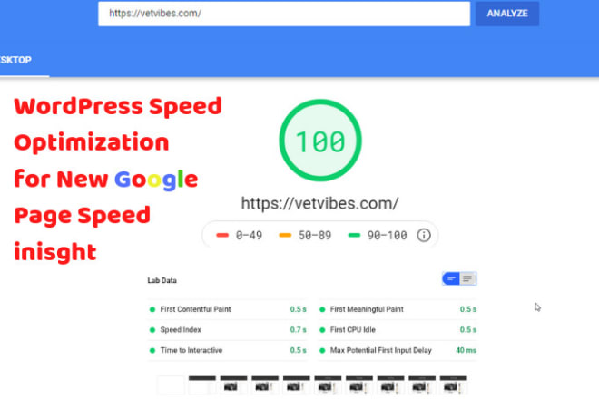 I will increase wordpress speed for google pagespeed insight