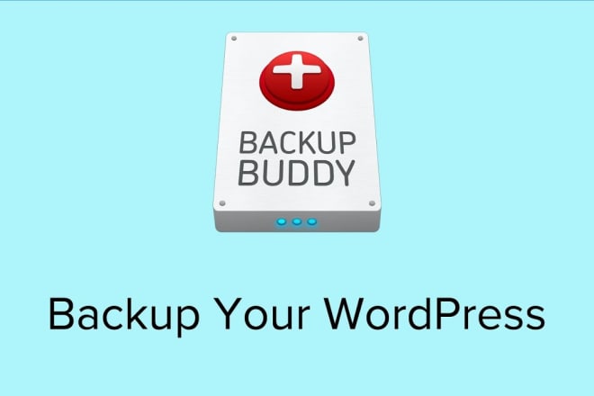 I will install backup buddy gold plugin on your wordpress
