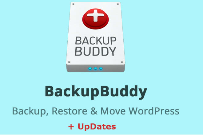 I will install backupbuddy on your site plus auto updates