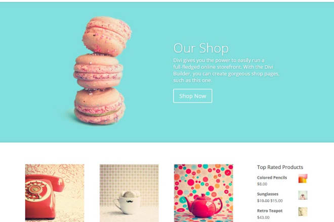 I will make wordpress website of ecommerce shop with customize code