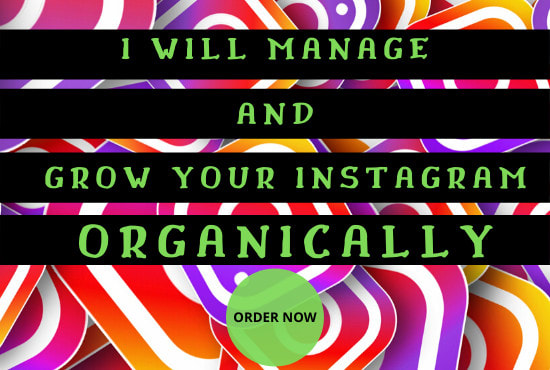 I will manage your instagram with organic growth