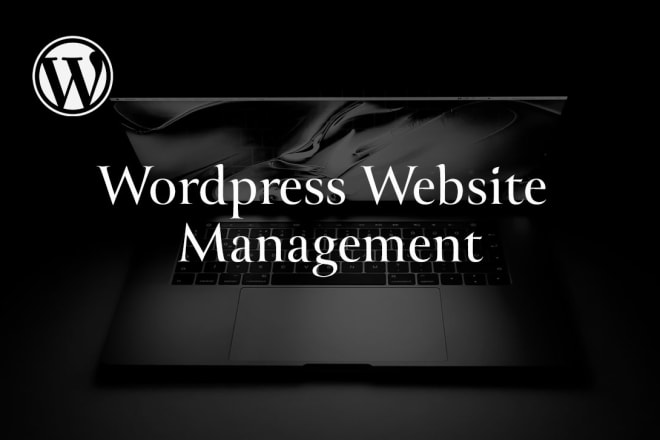 I will manage your worpress website