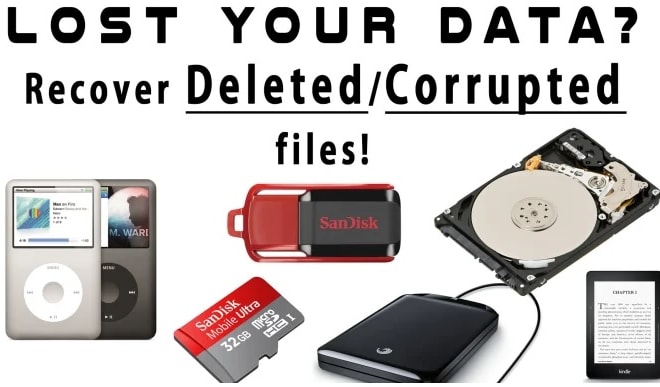I will perform expert data recovery from flash and hard disk