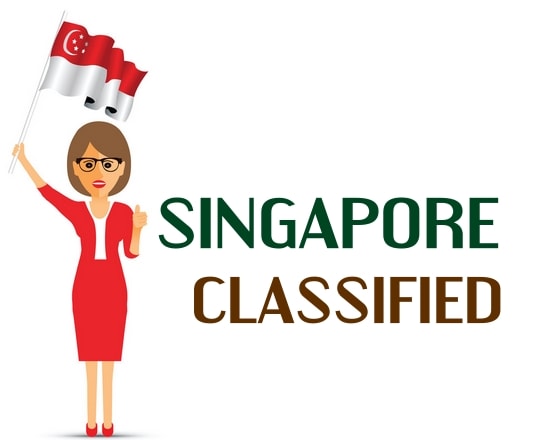 I will post your business in 10 high popular singapore classified