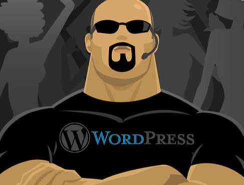 I will professional Install and Securely Setup Wordpress on Your Provided Web Hosting Account