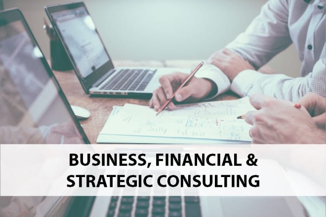 I will provide business, financial and strategic consulting