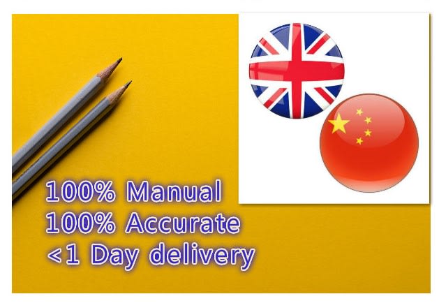 I will provide expert english to chinese manual translation