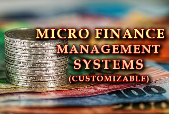 I will provide you a micro finance system